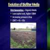 Slide8